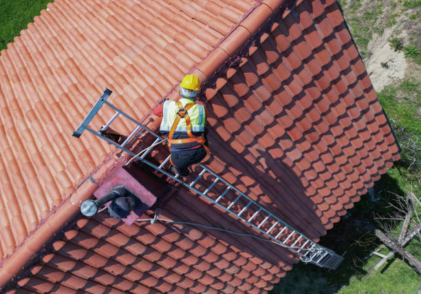 Best Commercial Roofing Services  in Safford, AZ