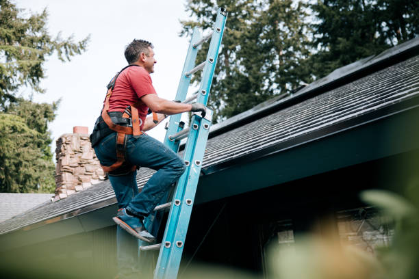 Best Roof Leak Repair  in Safford, AZ